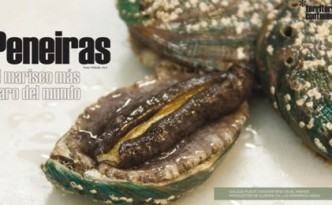 Trevisani-organizacion-eventos-Santiago-Benbo-5
