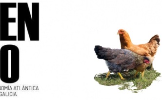 revista benbo boletin