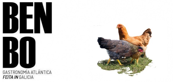revista benbo boletin