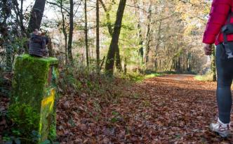 fairway-camino-santiago