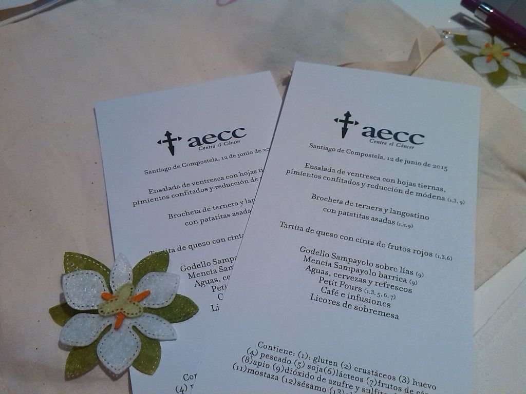 gala-eventos-santiago-azafatas-personal-auxiliar-congresos