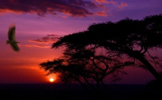 viajes de incentivo comprometidos, Africa